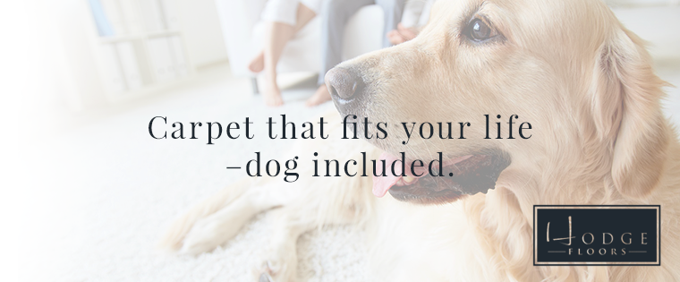 Carpets for Pet Owners