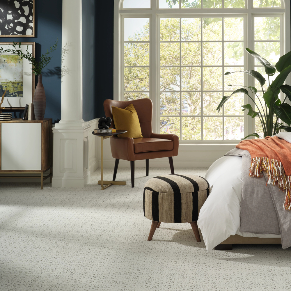 Shaw Light Impressions 5E584