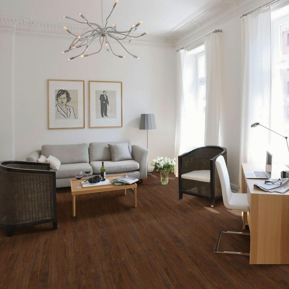 Shaw Piedmont Canyon