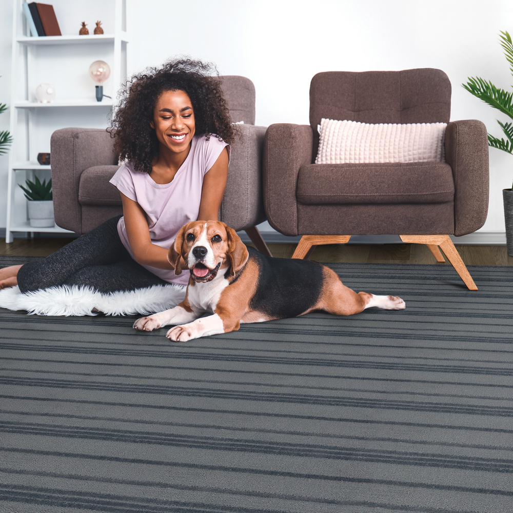 Stanton La Tortuga Cobalt