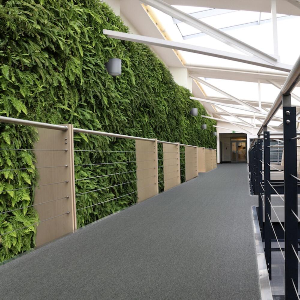 Stanton Madison Avenue Shadow