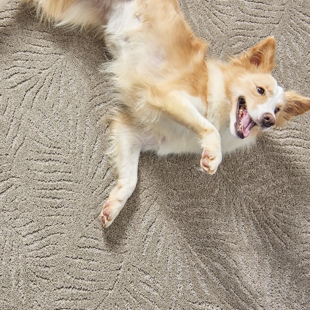 Tuftex First in Class Smoky Slate