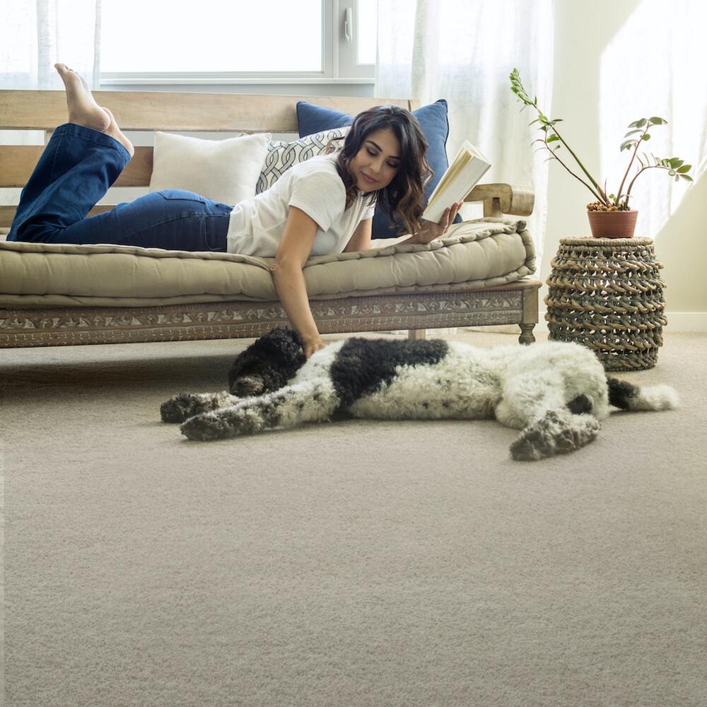 Mannington Pawparrazi Mocha Cream